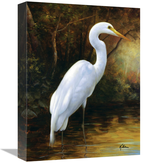 Global Gallery GCS-132467-1216-142 12 x 16 in. Evening Egret Art Print