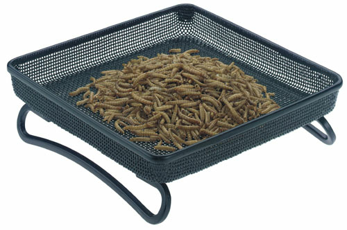 Rainbow Gardman RGBA01305 Compact Feeder Tray