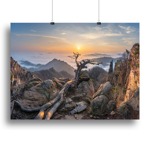 Dead pine On The Mountains Canvas Print or Poster
