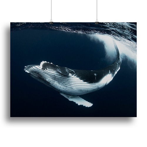 Beautiful Turn Canvas Print or Poster