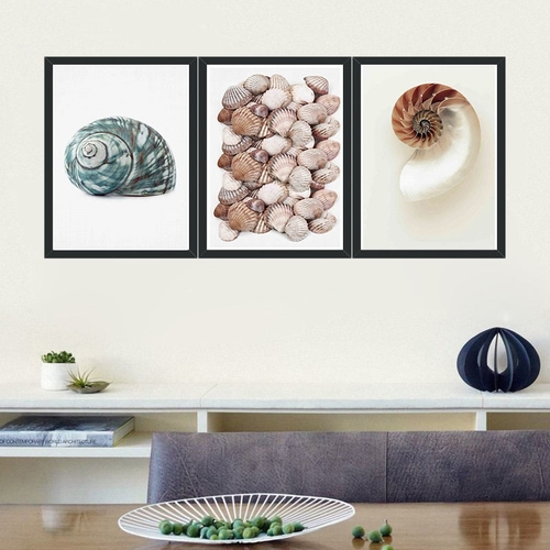 Minimalist Snail Shells Posters Seascape