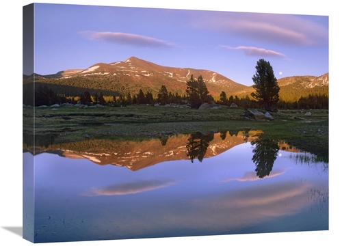 Global Gallery GCS-396656-1824-142 18 x 24 in. Mount Dana Reflected in