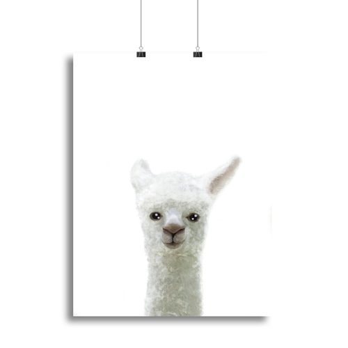 Llama Canvas Print or Poster