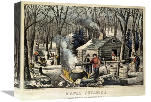 Global Gallery GCS-266133-16-142 16 in. Maple Sugaring - Early Spring 