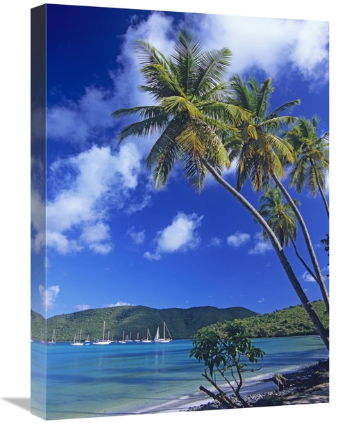 Global Gallery GCS-452105-1824-142 18 x 24 in. Palm Trees At Maho Bay&