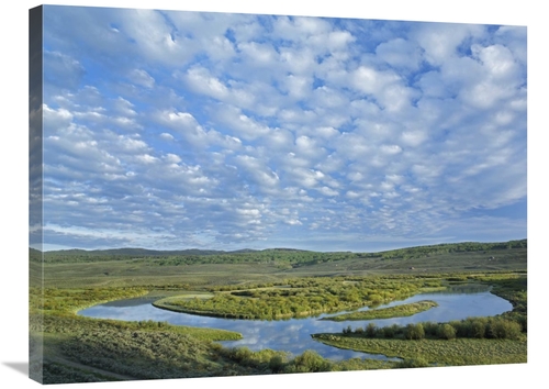 Global Gallery GCS-452196-2432-142 24 x 32 in. The Green River, Br