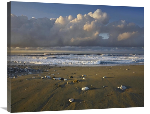 Global Gallery GCS-396367-2835-142 28 x 35 in. Beach & Waves, Corc