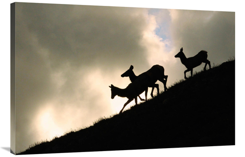 Global Gallery GCS-486519-40-142 40 in. Night Ridgeline Art Print - Vi