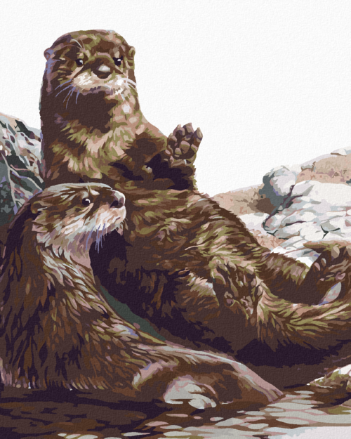 Zuty - Paint by Numbers - OTTERS (AL AGNEW), 40x50 cm