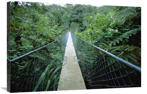 Global Gallery GCS-452463-2436-142 24 x 36 in. Suspension Bridge in Ab