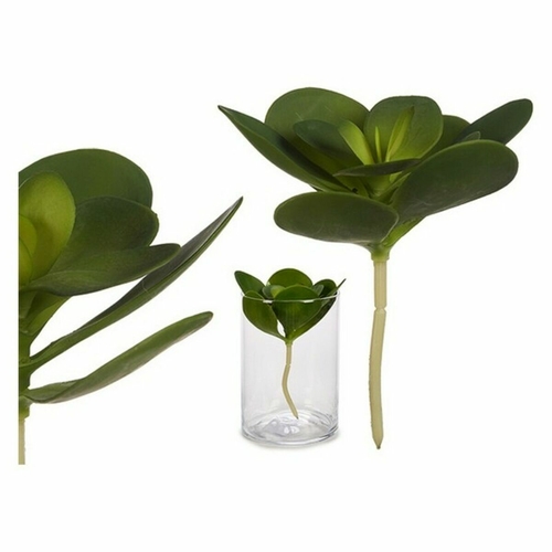 Decorative Plant Green Plastic (16 x 25 x 16	 cm) (18 x 23 x 18	 cm)