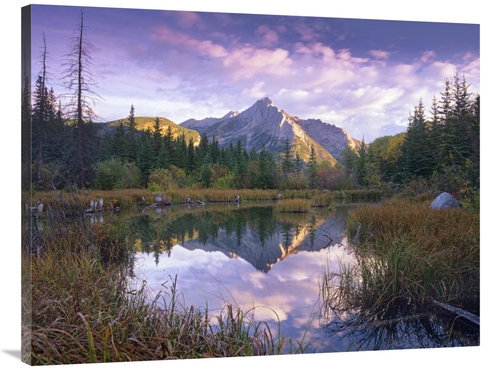 Global Gallery GCS-396677-3040-142 30 x 40 in. Mount Lorette & Spruce 