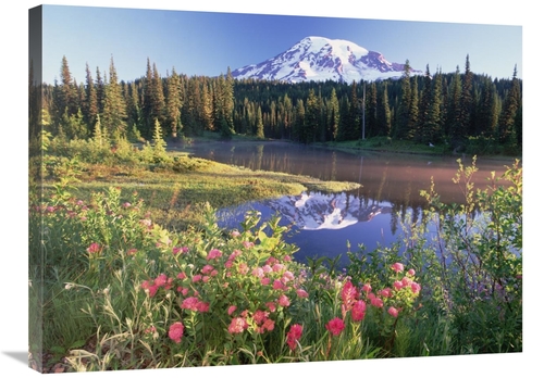 Global Gallery GCS-397028-2432-142 24 x 32 in. Mt Rainier & Wildflower