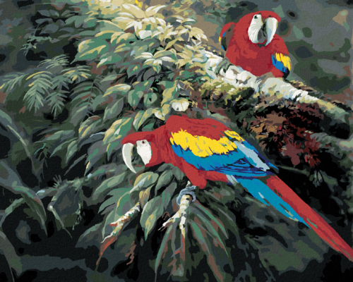 Zuty - Paint by Numbers â€“ A PAIR OF SCARLET MACAWS ON A BRANCH