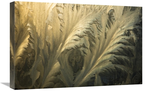 Global Gallery GCS-397757-1624-142 16 x 24 in. Frost Crystal Patterns 