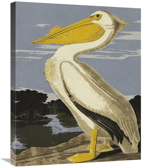Global Gallery GCS-394763-2228-142 22 x 28 in. Audubon Decor - Pelican
