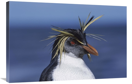 Global Gallery GCS-451808-2436-142 24 x 36 in. Rockhopper Penguin Port