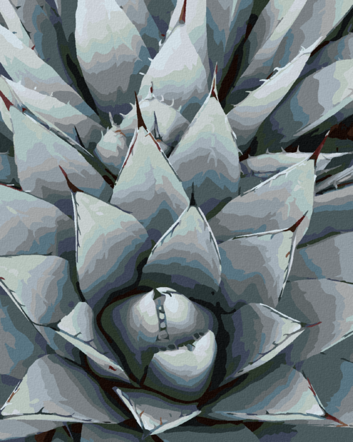 Paint by Numbers - CACTUS AGAVE