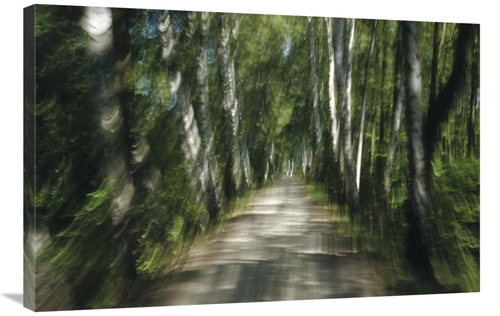 Global Gallery GCS-398483-2436-142 24 x 36 in. Tree Lined Road, Ab