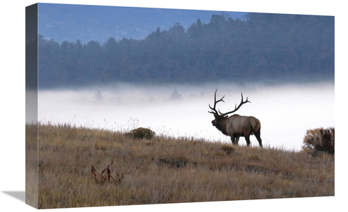 Global Gallery GCS-486461-22-142 22 in. In to the Fog Art Print - Vic 