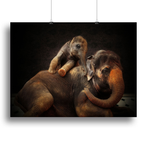 Mother And Baby Elephants Canvas Print or Poster