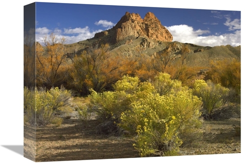 Global Gallery GCS-395963-1216-142 12 x 16 in. Mitten Rock, New Me