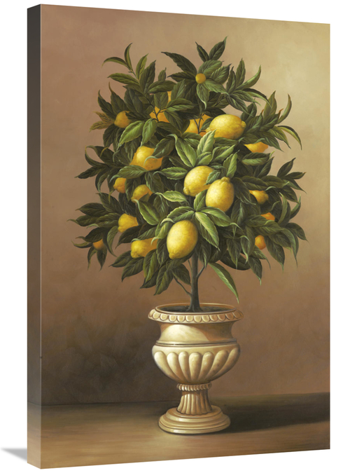 Global Gallery GCS-127131-2030-142 20 x 30 in. Potted Lemon Tree Art P