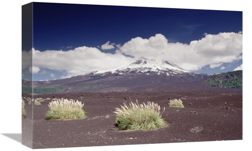 Global Gallery GCS-453013-1218-142 12 x 18 in. Pampas Grass Islands in