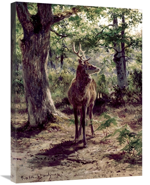 Global Gallery GCS-276772-30-142 30 in. Stag on Alert, in Wooded C