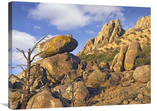 Global Gallery GCS-396342-2432-142 24 x 32 in. Rockpile, Davis Mou