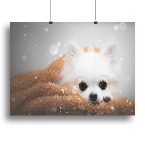 One day in winter Canvas Print or Poster