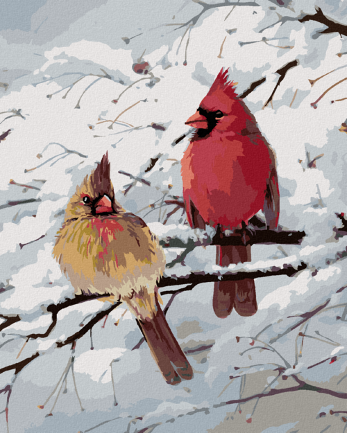 Zuty - Paint by Numbers â€“ CARDINAL BIRD AND A SNOWY BRANCH (JOE