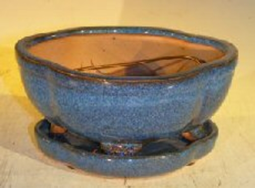 Blue Ceramic Bonsai Pot- Lotus Shape Professional Series with Attached