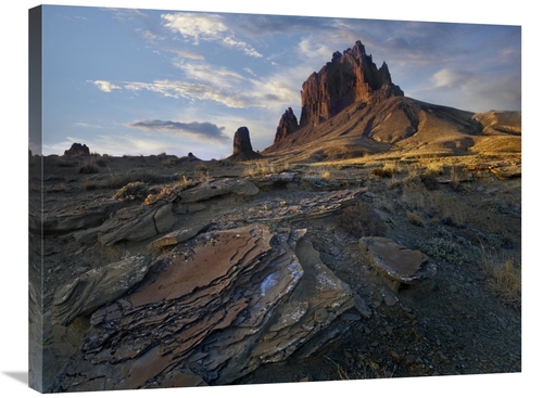 Global Gallery GCS-396526-2432-142 24 x 32 in. Shiprock, the Basal