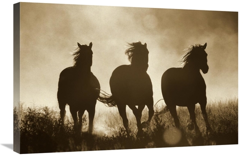 Global Gallery GCS-398470-2030-142 20 x 30 in. Domestic Horse Trio Run