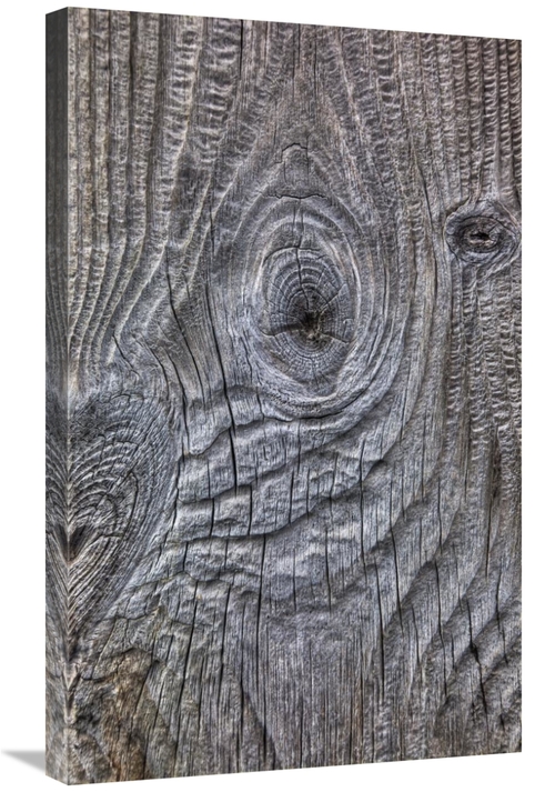 Global Gallery GCS-397776-30-142 30 in. Wind Eroded Wood, Deceptio