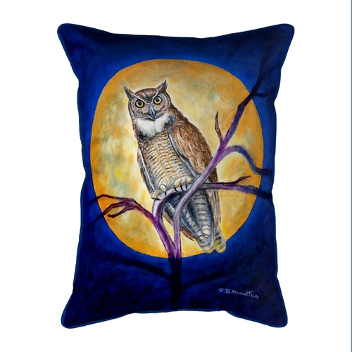 Betsy Drake ZP1172 20 x 24 in. Owl in Moon Zippered Indoor & Outdoor P