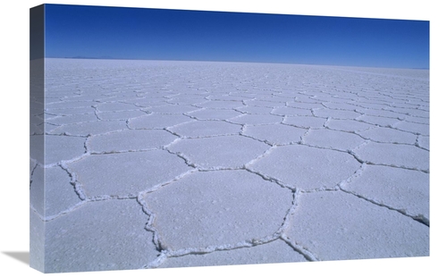 Global Gallery GCS-453527-1624-142 16 x 24 in. Hexagonal Crystallizati