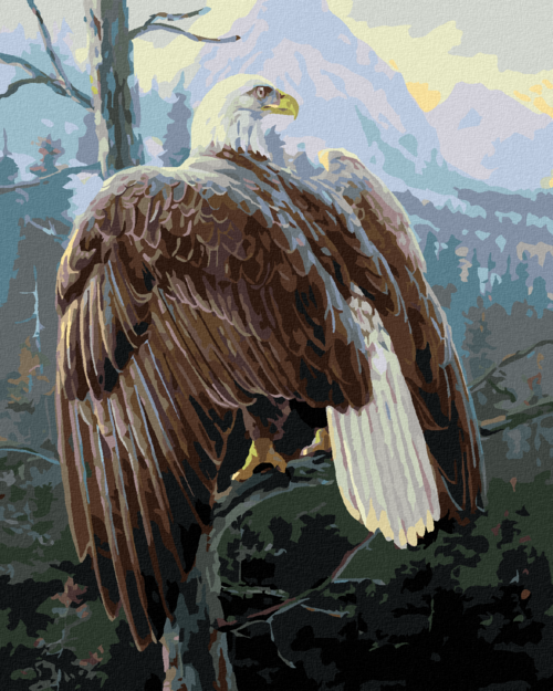 Zuty - Paint by Numbers - BALD EAGLE IN A TREE (DARRELL BUSH), 40x50