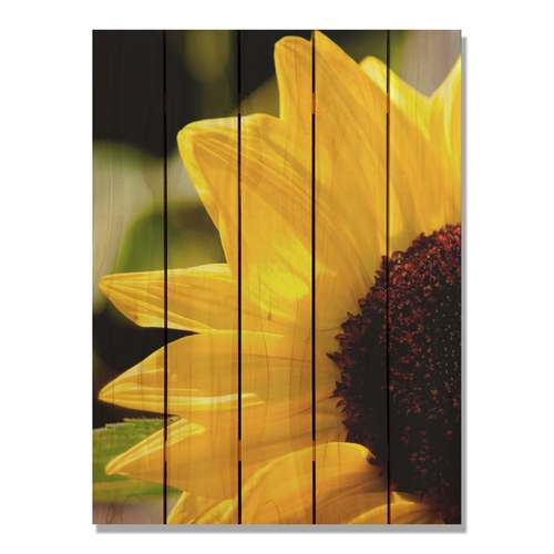 Day Dream HQ YS2836 28 x 36 in. Yellow Sunflower Inside & Outside Ceda