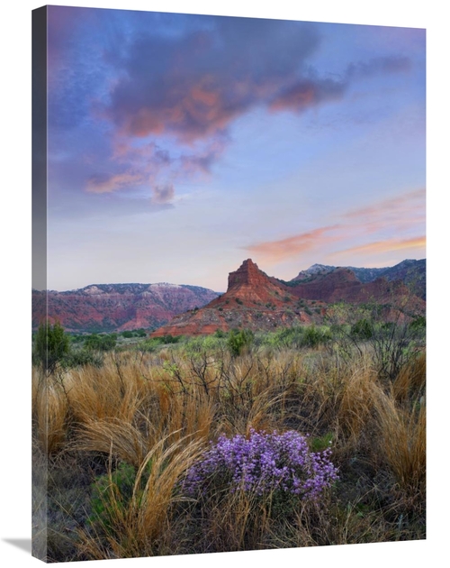 Global Gallery GCS-452239-2432-142 24 x 32 in. Caprock Canyons State P