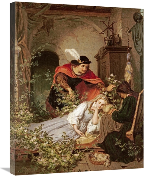 Global Gallery GCS-268464-30-142 30 in. Sleeping Beauty Art Print - Ro