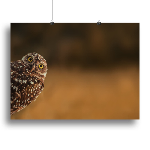 Hi there Canvas Print or Poster