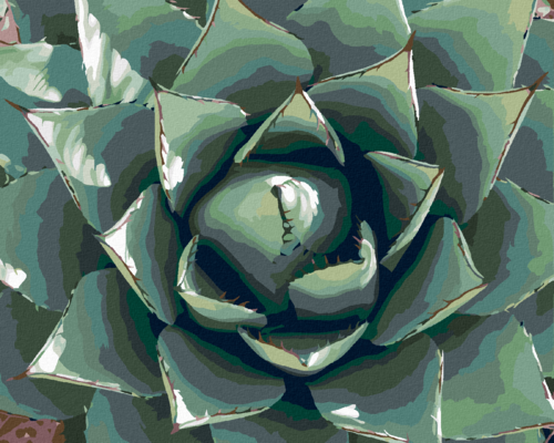 Paint by Numbers - A DESERT SUCCULENT PLANT