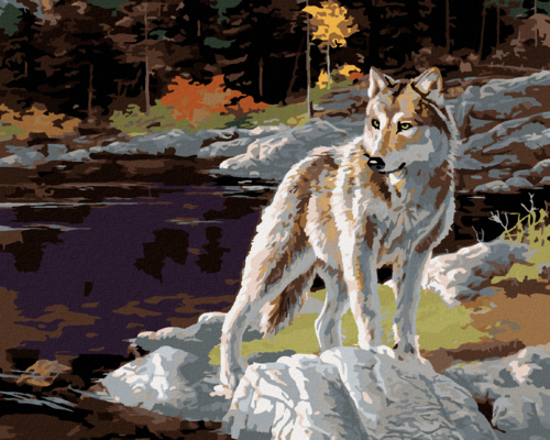 Zuty - Paint by Numbers - WOLF BY THE LAKE (DARRELL BUSH), 40x50 cm