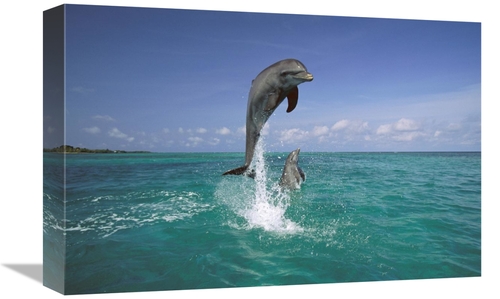 Global Gallery GCS-452575-1218-142 12 x 18 in. Bottlenose Dolphin Leap