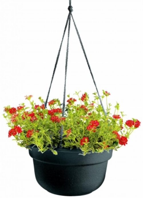 Bloem 12in Dura Cotta Hanging Basket Black DCHB12-00