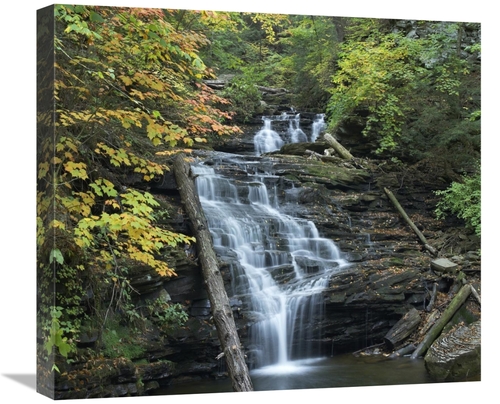 Global Gallery GCS-396427-22-142 22 in. Delaware Falls, Ricketts G