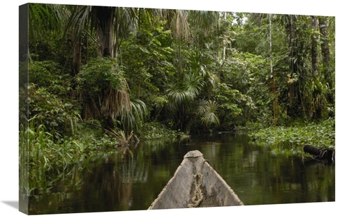 Global Gallery GCS-453076-2030-142 20 x 30 in. Dugout Canoe in Blackwa