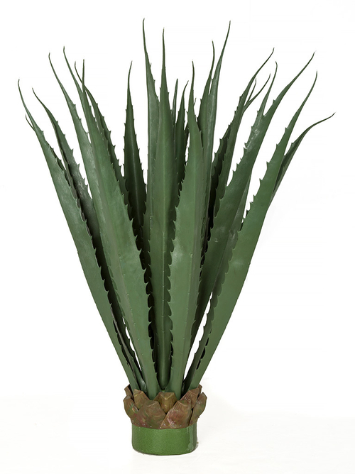 Autograph Foliages A-186045 36 in. Large Outdoor Pandanus Plant, G